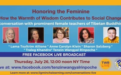 Honoring the Feminine: How the Warmth of Wisdom Contributes to Social Change