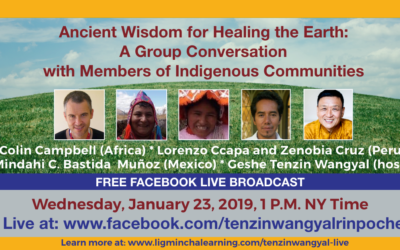 Ancient Wisdom for Healing the Earth: A Group Conversation with Members of Indigenous Communities