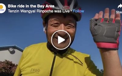 Bike Ride in the Bay Area