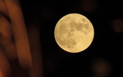 24-Hour Full Moon Practice, “Finding Peace through Spaciousness of the Mind”