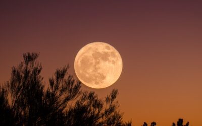 Sunday, February 5, 2023, 10 a.m. New York time: 24-Hour Full Moon Practice, “Through Spaciousness, Manifest Qualities That Benefit Others”