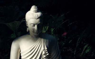 Mastering Living & Dying: What We Can Learn from Post-Death States of Advanced Meditators