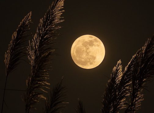 24-Hour Full Moon Practice, “Embracing the Suffering Me, Cultivating the Freedom of Being No One”
