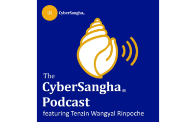 Welcome to The CyberSangha Podcast!